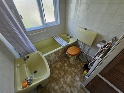 Picture 12
